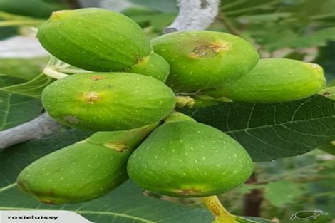 Photo of property in 81 Wiggins Street, Sumner, Christchurch, 8081