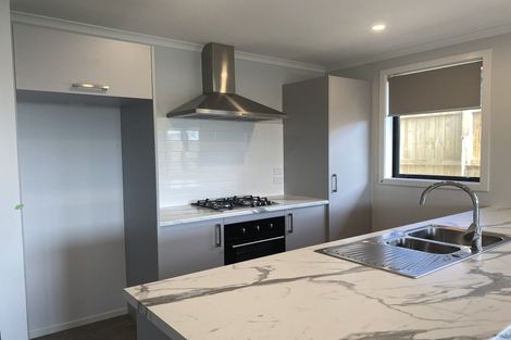 Photo of property in 41 Waruhia Crescent, Rototuna North, 3281