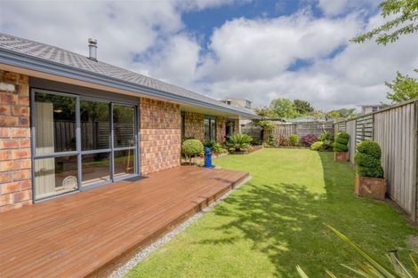 Photo of property in 4a Beechwood Avenue, Levin, 5510