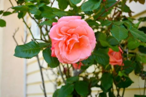 Photo of property in 15 Ferry Road, Waipu, 0510