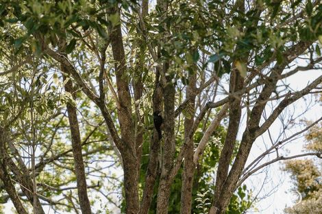 Photo of property in 119d Welcome Bay Road, Welcome Bay, Tauranga, 3112