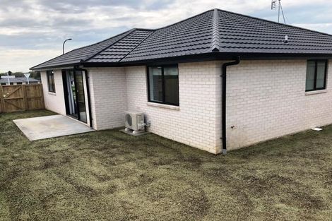 Photo of property in 34 Ladeira Place, Fitzroy, Hamilton, 3206