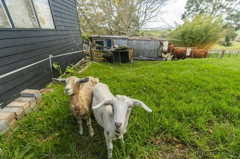 Photo of property in 210 Milne Road, Purua, Whangarei, 0172