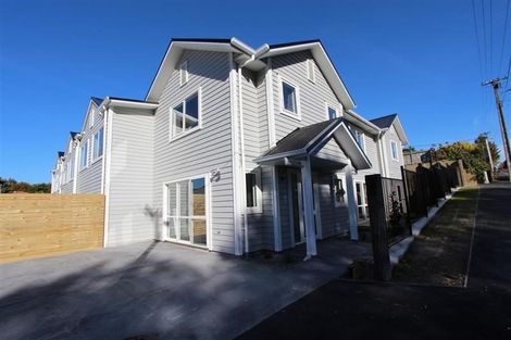 Photo of property in 2/5 Edgecumbe Street, Whitiora, Hamilton, 3200