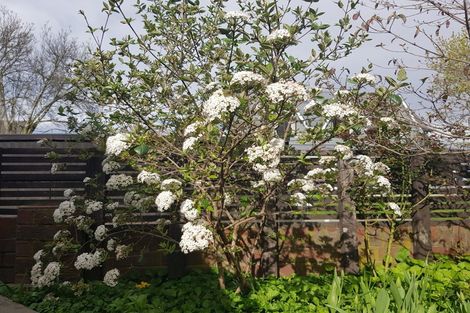 Photo of property in 2/5 Chokebore Place, Sockburn, Christchurch, 8042