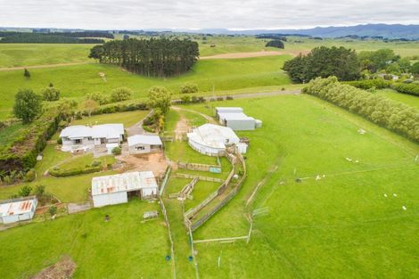 Photo of property in 828 Colyton Road, Bunnythorpe, Feilding, 4775