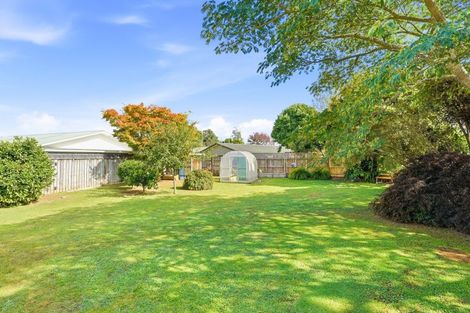 Photo of property in 90 Tyndall Street, Pahiatua, 4910