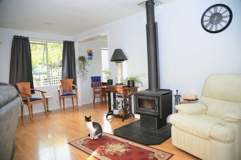 Photo of property in 13 Taruna Place, Te Kuiti, 3910