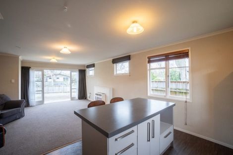 Photo of property in 139 Ruamahanga Crescent, Terrace End, Palmerston North, 4410