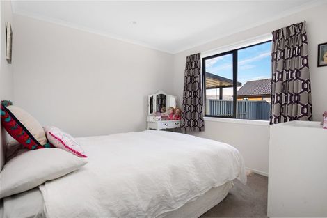 Photo of property in 17 Brooke Place, Alexandra, 9320