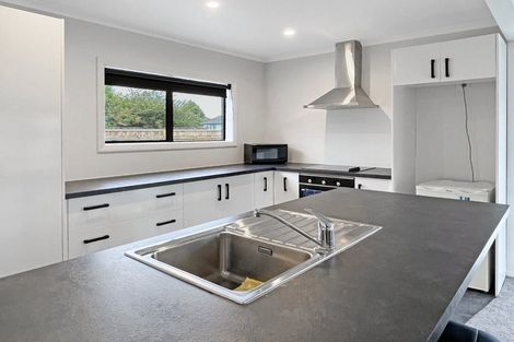 Photo of property in 107 Limbrick Street, Terrace End, Palmerston North, 4410