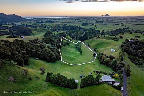 Photo of property in 70b Withy Road, Manawahe, Whakatane, 3193
