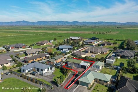 Photo of property in 18a Madgwick Place, Ngatea, 3503