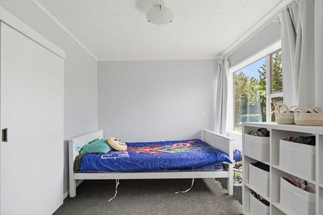Photo of property in 124 Porangahau Road, Waipukurau, 4200