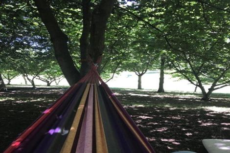 Photo of property in 466 Jeffersons Line, Marton, 4788