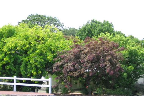 Photo of property in 1270b New North Road, Avondale, Auckland, 1026