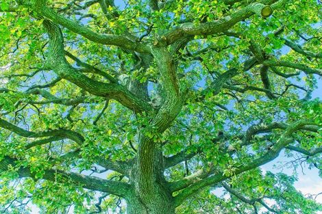 Photo of property in 134 Kaimoe Road, Patutahi, Gisborne, 4072