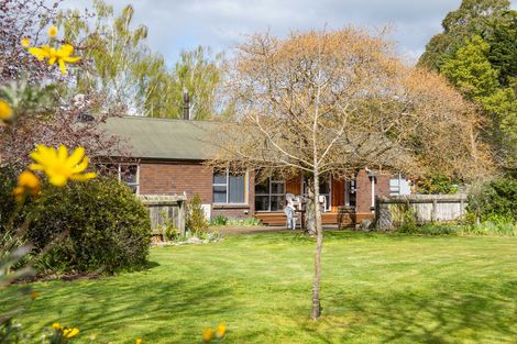Photo of property in 48 Loop Line, Opaki, Masterton, 5881