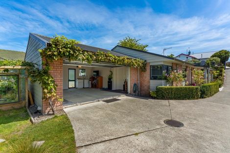 Photo of property in 602a Ferguson Street, Terrace End, Palmerston North, 4410
