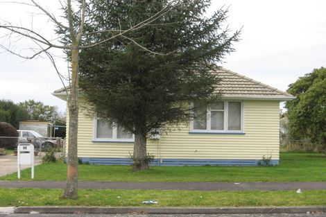 Photo of property in 46 Kenney Crescent, Fairfield, Hamilton, 3214