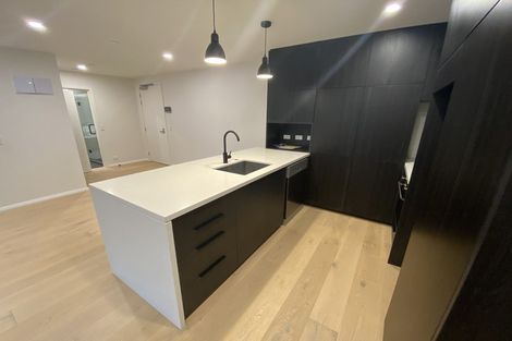 Photo of property in 509/8 Kingsland Terrace, Kingsland, Auckland, 1021