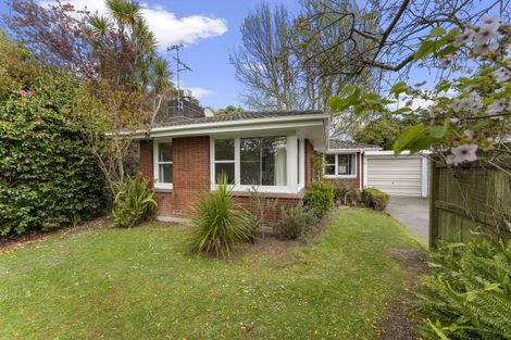 Photo of property in 252a Victoria Avenue, Hokowhitu, Palmerston North, 4410