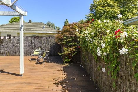 Photo of property in 229a Fifteenth Avenue, Tauranga South, Tauranga, 3112