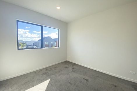 Photo of property in 1 Green Bamboo Road, Hobsonville, Auckland, 0616