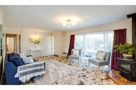 Photo of property in 20 Norfolk Street, Tamatea, Napier, 4112