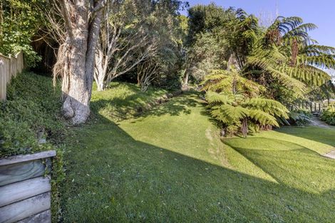 Photo of property in 21 Heaphy Street, Westown, New Plymouth, 4310