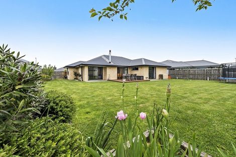 Photo of property in 7 Cressy Place, Darfield, 7510