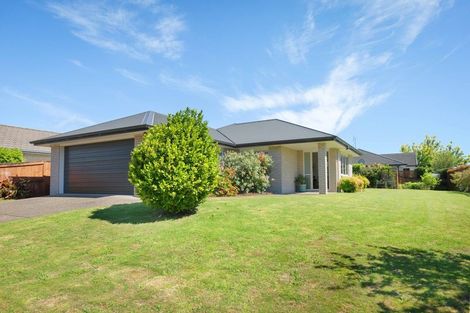 Photo of property in 15 Maniaroa Drive, Katikati, 3129