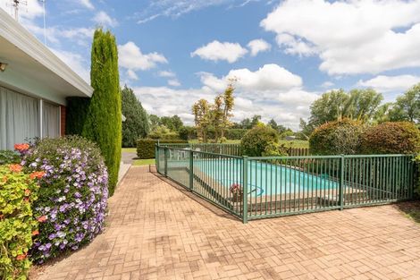 Photo of property in 282 Marshmeadow Road, Newstead, Hamilton, 3286