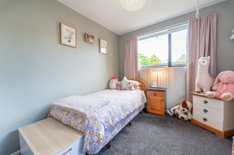 Photo of property in 156 Le Cren Street, Seaview, Timaru, 7910