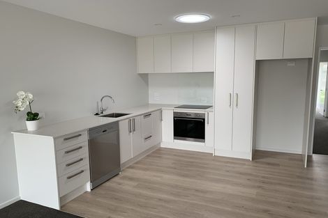 Photo of property in 15 Clydesdale Way, Lincoln, 7608