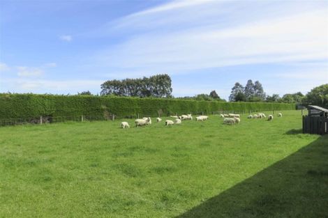Photo of property in 264 Drysdale Road, Myross Bush, Invercargill, 9872