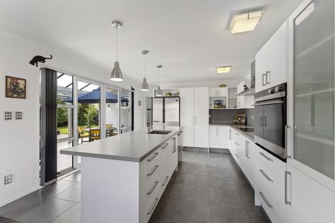 Photo of property in 22 Wineberry Avenue, Amberley, 7410