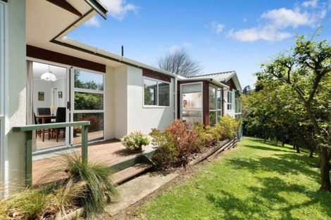 Photo of property in 11b Hobson Street, Waihi, 3610