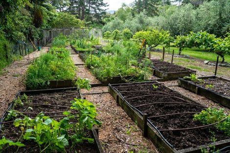 Photo of property in 245 Ngatiawa Road, Reikorangi, Waikanae, 5391