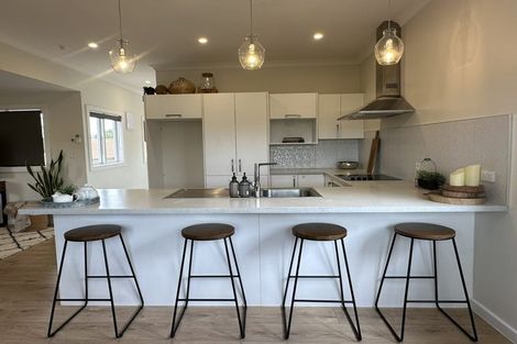 Photo of property in 161 Rimu Street, Maeroa, Hamilton, 3200