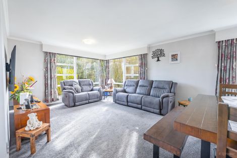 Photo of property in 38 Augustine Street, Waimate, 7924