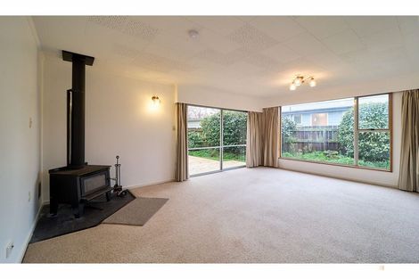 Photo of property in 23 Flatman Crescent, Geraldine, 7930