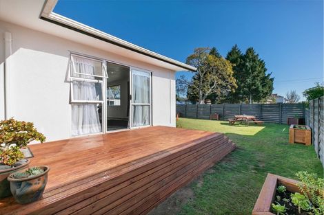 Photo of property in 393a Maungatapu Road, Maungatapu, Tauranga, 3112
