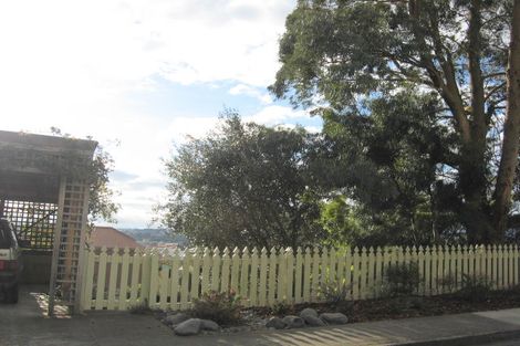 Photo of property in 46 Hipango Terrace, Durie Hill, Whanganui, 4500