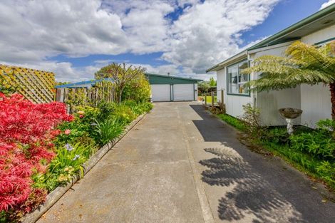 Photo of property in 1 Shanly Street, Waipawa, 4210