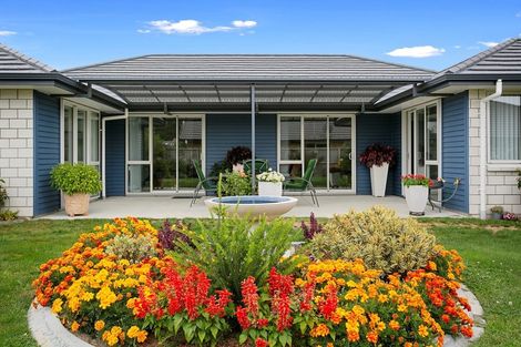 Photo of property in 16 Maple Place, Matamata, 3400