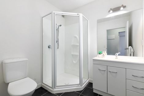 Photo of property in 40b Miro Street, Mount Maunganui, 3116