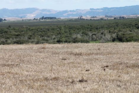 Photo of property in 616 Falls Road, Waerenga, Te Kauwhata, 3782