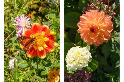 Photo of property in 3 Phillips Drive, Oropi, Tauranga, 3173