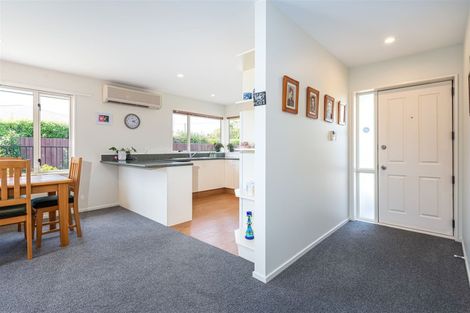 Photo of property in 50e Middlepark Road, Sockburn, Christchurch, 8042